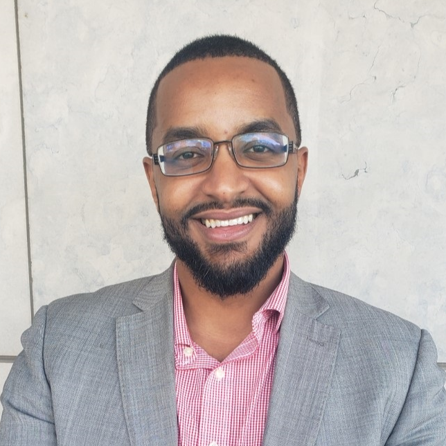 Abdel Ali