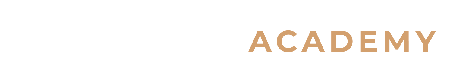 The Violinacademy logo